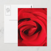 赤いバラ ポストカード (正面/裏面)