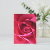 赤いバラ ポストカード (スタンド正面)