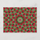 赤いバラ ポストカード (正面)