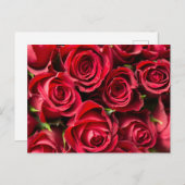 赤いバラ ポストカード (正面/裏面)