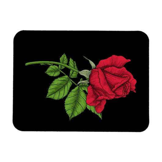 赤いバラ マグネット (横)