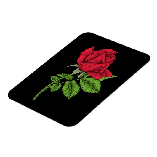 赤いバラ マグネット (左側)