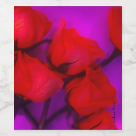 赤いバラ ワインラベル (シングルラベル)