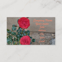 赤いバラ"二つのバラ"フローラ花赤い花びら