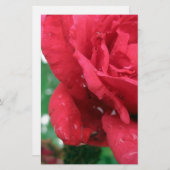 赤いバラ 便箋 (正面/裏面)