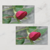 赤いバラ 名刺 (正面/裏面)