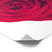 赤いバラ(大離れ面) ポスター (角)