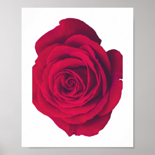 赤いバラ(大離れ面) ポスター (正面)
