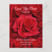 赤いバラ – 結婚式は日付の招待状を保存 案内ポストカード (正面)