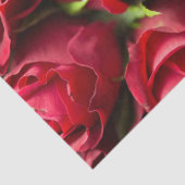 赤いバラ 薄葉紙 (詳細)