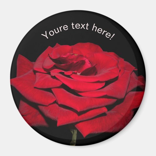 赤いバラ – 黒 マグネット (正面)