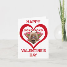 赤いバレンタインデーの子供向けカードの可愛いポニー