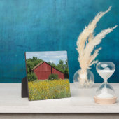 赤いバーンプラーク フォトプラーク (インサイチュ)