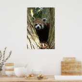 赤いパンダのポスター ポスター (キッチン)