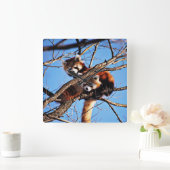 赤いパンダ スクエア壁時計 (ホーム)