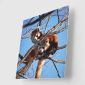 赤いパンダ スクエア壁時計 (傾斜)