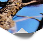 赤いパンダ ポスター (コーナー)