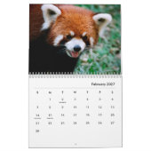 赤いパンドラ(PANDAS)ウォールカレンダー カレンダー (2月 2027)
