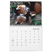 赤いパンドラ(PANDAS)ウォールカレンダー カレンダー (3月 2027)