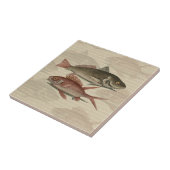 赤いパーチの魚 釣り人のアート タイル (側面)