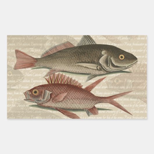 赤いパーチの魚 釣り人のアート 長方形シール (正面)