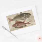赤いパーチの魚 釣り人のアート 長方形シール (封筒)