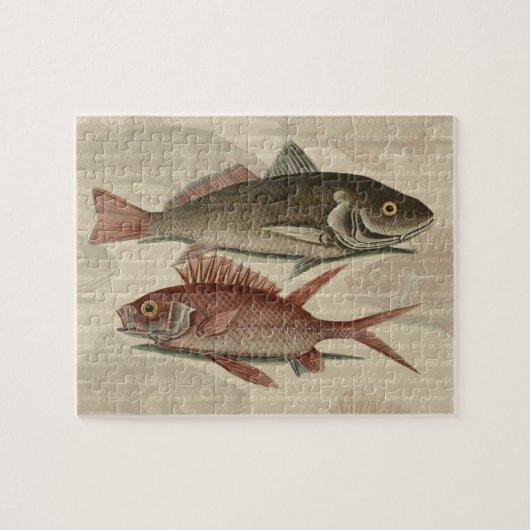 赤いパーチの魚 釣り人 アート ジグソーパズル (横)