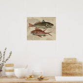 赤いパーチの魚 釣り人 アート ポスター (キッチン)