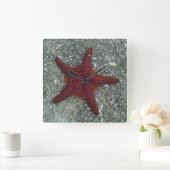 赤いヒトデ|ガラパゴス、Equador スクエア壁時計 (ホーム)