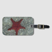 赤いヒトデ|ガラパゴス、Equador ラゲッジタグ (正面横)