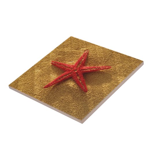 赤いヒトデ タイル (側面)