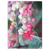 赤いピンクと白の熱帯の花 クリップボード (裏面)