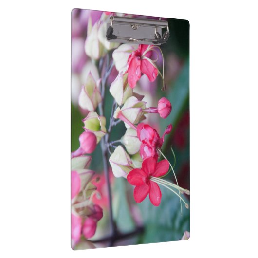 赤いピンクと白の熱帯の花 クリップボード (右)