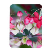 赤いピンクと白の熱帯の花 マグネット (縦)