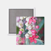 赤いピンクと白の熱帯の花 マグネット (正面/裏面)