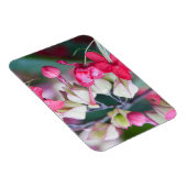 赤いピンクと白の熱帯の花 マグネット (右側)