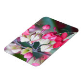 赤いピンクと白の熱帯の花 マグネット (左側)