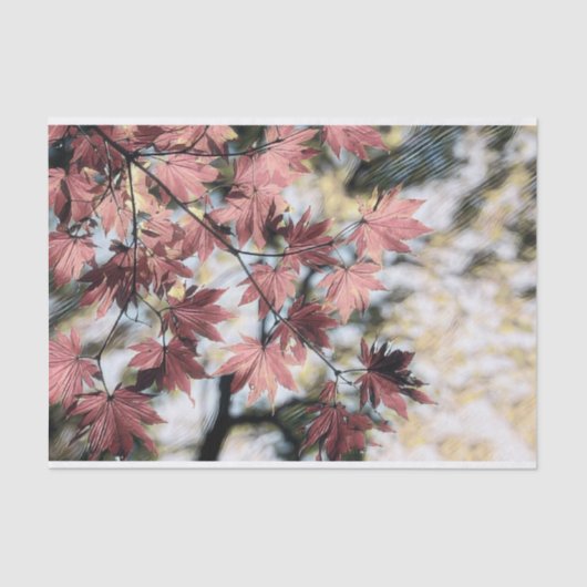 赤いピンクと茶色の紅葉絵画ズ 薄葉紙 (正面)