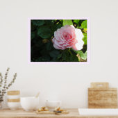 赤いピンクのバラ ポスター (キッチン)