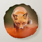 赤いフォランニングックスのがオレンジの紅葉。かわいい赤  ラウンドクッション (裏面)