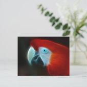 赤いフラクタルオウム青目 ポストカード (スタンド正面)