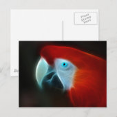 赤いフラクタルオウム青目 ポストカード (正面/裏面)