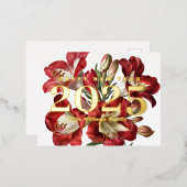 赤いフリージアの花 ハッピーニューイヤー 2025 ゴールド 箔シーズンポストカード (正面/裏面)
