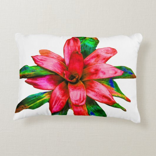 赤いブロマイドの枕 アクセントクッション (裏面)