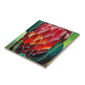 赤いプロテアの花の元の水彩画の芸術 タイル (側面)