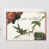 赤いプロテアハミングバード – 日付を保存 招待状 (裏面)