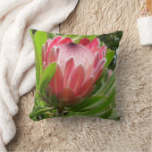 赤いプロテア クッション (ブランケット)