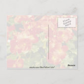 赤いベゴニア X レックス カルトラム (レックスベゴニア) の花 ポストカード (裏面)