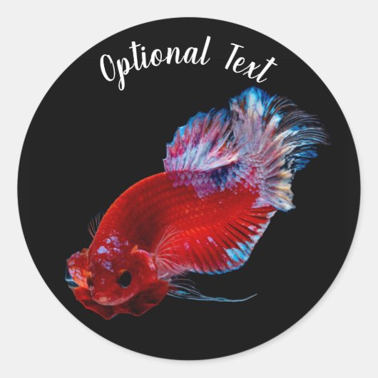 赤いベタ闘魚 ラウンドシール (正面)