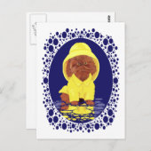 赤いペルシャ猫のロングヘアー 四月の雨 ポストカード (正面/裏面)